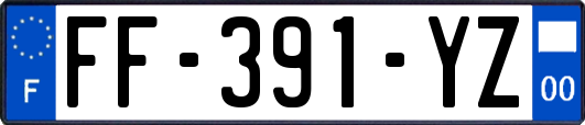 FF-391-YZ