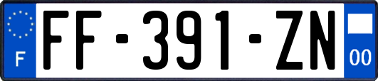 FF-391-ZN