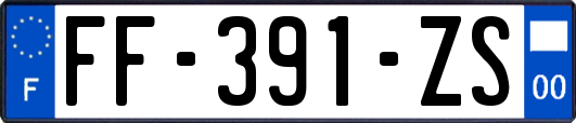 FF-391-ZS