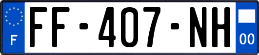 FF-407-NH