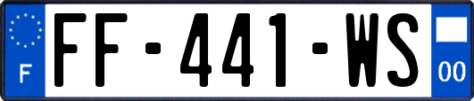 FF-441-WS