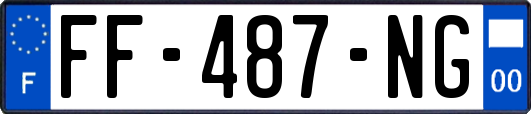 FF-487-NG