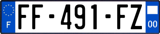 FF-491-FZ