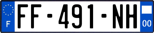 FF-491-NH