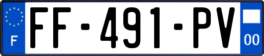 FF-491-PV
