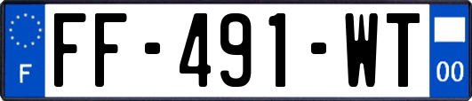 FF-491-WT