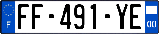FF-491-YE