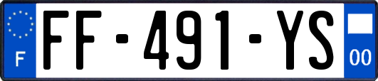 FF-491-YS