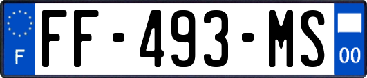 FF-493-MS