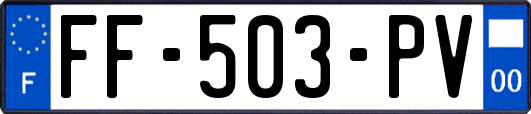 FF-503-PV