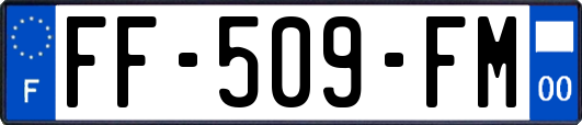 FF-509-FM