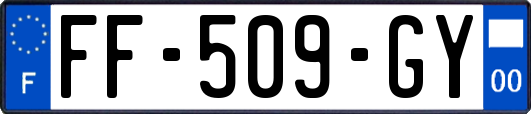 FF-509-GY