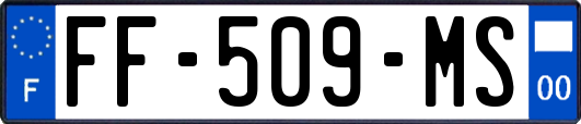 FF-509-MS