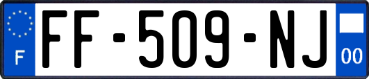 FF-509-NJ