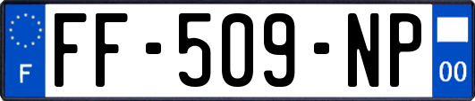FF-509-NP