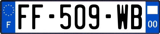 FF-509-WB