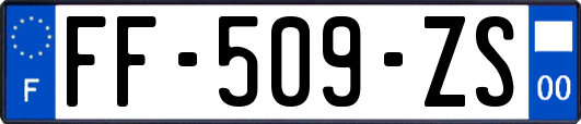 FF-509-ZS