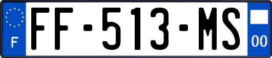 FF-513-MS