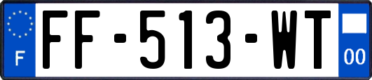 FF-513-WT