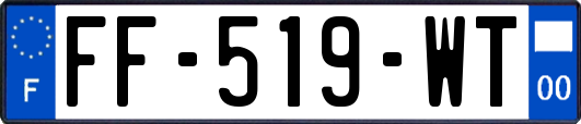 FF-519-WT