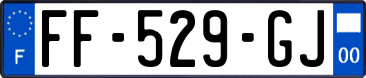 FF-529-GJ