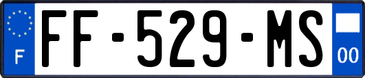 FF-529-MS