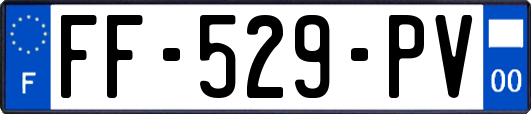 FF-529-PV