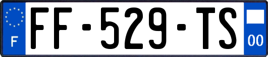 FF-529-TS