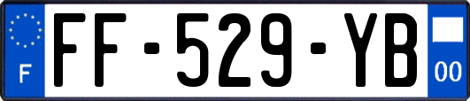 FF-529-YB