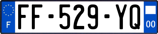 FF-529-YQ