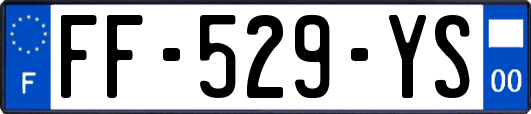 FF-529-YS