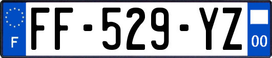 FF-529-YZ