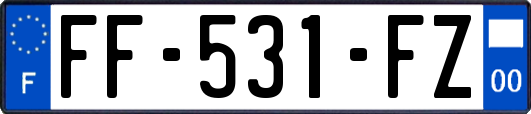 FF-531-FZ
