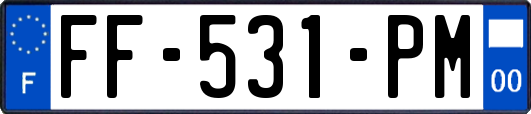 FF-531-PM