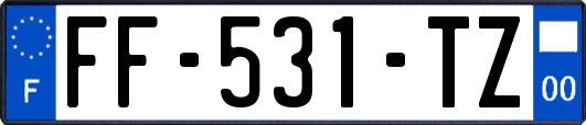 FF-531-TZ