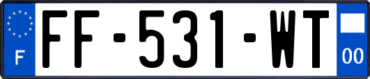 FF-531-WT