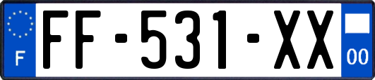 FF-531-XX