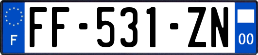 FF-531-ZN