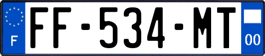 FF-534-MT
