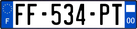 FF-534-PT