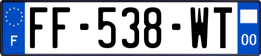 FF-538-WT