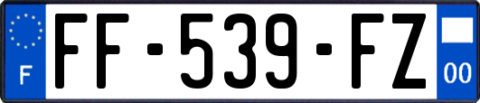 FF-539-FZ