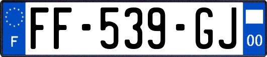 FF-539-GJ