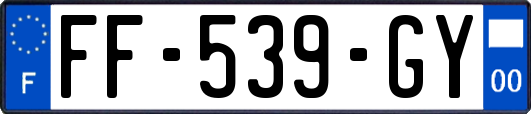 FF-539-GY