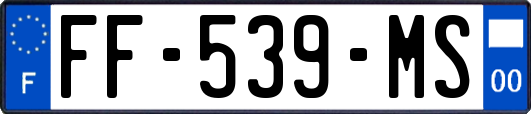 FF-539-MS