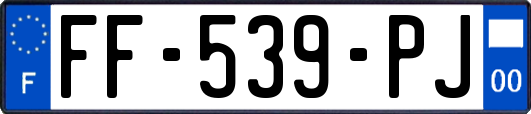 FF-539-PJ