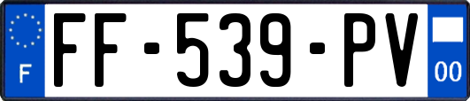FF-539-PV