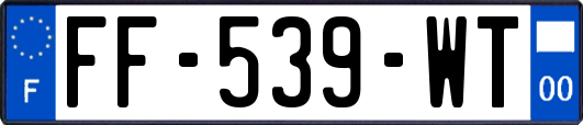 FF-539-WT
