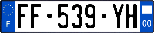 FF-539-YH