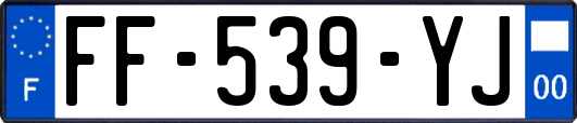 FF-539-YJ